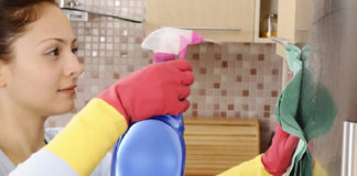 SE SOLICITA EMPLEADA DEL HOGAR PARA LLEVAR A CABO TAREAS DOMESTICAS, TRABAJO POR HORAS servicio de limpieza tareas domesticas empleada del hogar Housewife housekeeper domestic employee