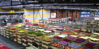 NOS ENCONTRAMOS EN LA BÚSQUEDA DE TRABAJADORES SIN EXPERIENCIA PARA BODEGA DE FLORES trabajadores para bodega de flores flower cellar workers warehouse operator