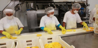 SE NECESITA OPERARIOS DE PRODUCCIÓN Y EMPACADO DE ALIMENTOS, CON DISPONIBILIDAD HORARIA Operarios de Producción y Empacado Production and Packaging Operators