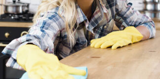 SE NECESITA EMPLEADA DEL HOGAR EXTERNA, TRABAJO POR HORAS 2 VECES POR SEMANA empleada del hogar limpieza en casa de familia domestic maid domestic servant for family home