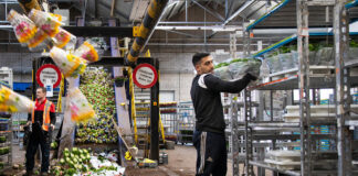 INCORPORAMOS EMPLEADO DE ENVIÓ, TRABAJADOR DE CARGA Y DESCARGA, OPERADORES DE MONTACARGAS PARA BODEGA DE FLORES empleado de almacen flower store clerk wholesale florist staff personal de floristeria al mayor