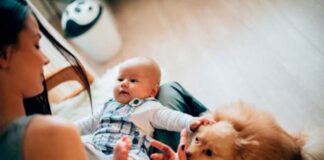 SE REQUIERE EMPLEADA DEL HOGAR, RÉGIMEN INTERNO EN CASA DE FAMILIA (TAREAS DOMESTICAS EN GENERAL) niñera babysitter nanny con niño baby house niñera con tareas domésticas niñera al cuidad de bebé y perro