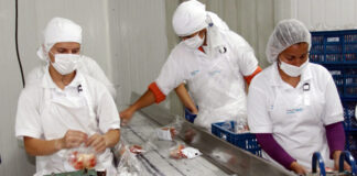 SE INCORPORAR PERSONAL PARA TAREAS DE BODEGA Y PRODUCCIÓN EN INDUSTRIA ALIMENTICIA, VARIOS TURNOS DISPONIBLES operarios de produccion para empresa de alimentos produccion en linea production workers for food companies