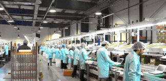 operarios de producción empleados para fabrica employee male and female production operator