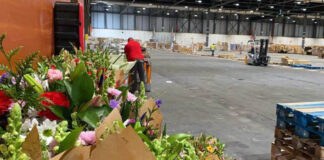 SE BUSCA EMPLEADOS DE BODEGA DE FLORES JORNADA PART TIME, INCORPORACIÓN INMEDIATA personal de almacen empleados de bodega de flores warehouse staff