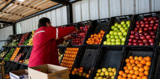 SE REQUIERE VERDULERO PARA LABORES DE LIMPIEZA DE HORTALIZAS Y FRUTAS, Y ARREGLAR LA MERCADERÍA EN LAS ESTANTERÍAS personal para verduleria verdulero staff for greengrocer