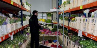 SE NECESITA EMPLEADAS/OS CON O SIN EXPERIENCIA PARA ALMACÉN DE FLORES (EMPACADORES DE FLORES, CONDUCTORES, OPERADORES Y OFICIOS GENERALES) personal para almacen de flores trabajadores de almacen flower warehouse staff warehouse workers