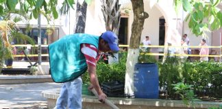 SE SOLICITA PERSONAL DE LIMPIEZA, PINTURA Y JARDINERÍA, PARA COMENZAR DE INMEDIATO Personal de Limpieza, Pintura y Jardinería Cleaning, Painting and Gardening Staff