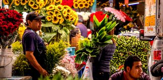 SE SOLICITA OPERARIO PARA WAREHOUSE DE FLORES, COMIENZO INMEDIATO TRABAJO DE TEMPORADA Operario Para Warehouse de Flores warehouse operator empleado para almacen de flores