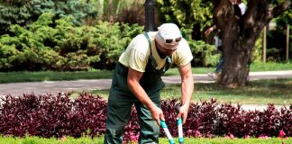 ESTAMOS EN LA BUSQUEDA DE JARDINERO Y HANDYMAN, SE OFRECEN EXCELENTES BENEFICIOS jardinería, handyman, soldar, concreto, electricidad y pintura gardening, handyman, welding, concrete, electrical and painting