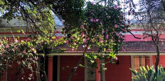 SE BUSCA MATRIMONIO DE CASEROS, CON DISPONIBILIDAD INMEDIATA PARA CUIDADO DE CASA QUINTA matrimonio de caseros cuidado y mantenimiento de casa landlord marriage home care and maintenance