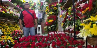 BUSCAMOS OPERARIOS PARA ALMACÉN DE FLORES, COMIENZO DE TEMPORADA (VARIAS VACANTES) operarios para almacen de flores workers for flower store personal masculino para almacen mozo de almacen warehouse operators