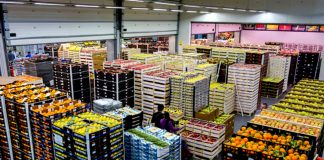 SE REQUIERE PERSONAL PARA ALMACÉN DE FLORES Y VEGETALES, JORNADA PART TIME O FULL TIME operarios de almacen de flores y vegetales flower and vegetable warehouse operators