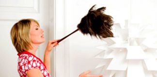 SE NECESITA SEÑORA/SEÑORITA PARA TRABAJAR EN CASA DE FAMILIA, 2 VECES A LA SEMANA DE 9AM A 13HS empleada domestica empleada del hogar limpieza en casa de familia domestic maid personal domestico housekeeper