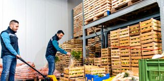 SE SOLICITA PERSONAL PARA ALMACÉN DE FLORES Y VEGETALES (AMBOS SEXOS, CON O SIN EXPERIENCIA), PART TIME O FULL TIME warehouse de flores y vegetales operario de almacen mozo de almacen flower and vegetable warehouse operator