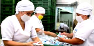 SE REQUIERE OPERARIAS/OS PARA EMPACADO DE COMIDA VEGANA (CON O SIN EXPERIENCIA) manipuladoras de alimentos operarias de empacado de comida vegana food handlers vegan food packaging operators