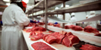 SE REQUIEREN EMPACADORAS/ES DE CARNE CON O SIN EXPERIENCIA, PRIMER Y SEGUNDO TURNO DISPONIBLES empacadores de carne meat employees