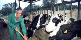 SE REQUIERE PEÓN RURAL PARA TRABAJAR EN EL SECTOR DE GANADERÍA, JORNADA COMPLETA. SE OFRECE BUEN SUELDO peon agricola peon rural agricultural peon rural peon