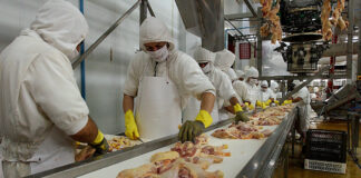 ESTAMOS INCORPORANDO EMPACADORAS/ES DE POLLO (CON O SIN EXPERIENCIA), JORNADA PART TIME Y FULL TIME empacadores de pollo en estados unidos chicken packers in the united states