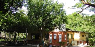SE REQUIERE PEÓN PARA FINCA CON DISPONIBILIDAD INMEDIATA. SE OFRECE VIVIENDA Y BUEN SALARIO peon para finca en costa rica peon for farm