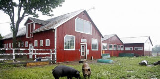 SE SOLICITAN PAREJA/MATRIMONIO PARA CUIDADO, LIMPIEZA Y MANTENIMIENTO DE GRANJA. SE OFRECE VIVIENDA, BENEFICIOS Y BUEN SUELDO granja farm