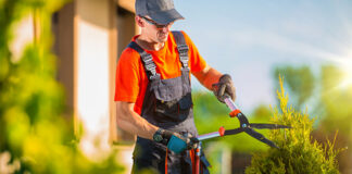 SE REQUIERE PEÓN DE JARDINERÍA Y MANTENIMIENTO GENERAL, JORNADA COMPLETA jardinero employee