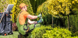 SE REQUIERE JARDINERO PARA CONDOMINIO RESIDENCIAL, PERSONA RESPONSABLE Y PROACTIVA jardinero gardener