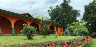 SE SOLICITA PEÓN DE FINCA PARA CUIDADO, LIMPIEZA Y MANTENIMIENTO. SE OFRECE VIVIENDA Y BUEN SUELDO peon de finca empleado para limpieza y cuidado de finca en Limon costa rica farm peon used for farm cleaning and care