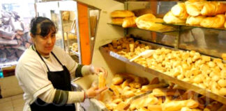 SE NECESITA SE NECESITA EMPLEADA PARA PANADERÍA (ATENCIÓN AL PUBLICO Y LIMPIEZA), PRESENTARSE CON CV empleada para panaderia atencion al publico y limpieza employee for bakery customer service and cleaning