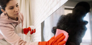SE REQUIEREN EMPLEADAS DOMESTICAS, CUIDADORAS, NIÑERAS Y COCINERAS PARA CASAS DE FAMILIAS empleadas domesticas