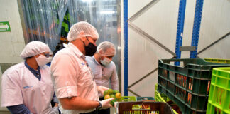 SE REQUIEREN OPERARIOS INDUSTRIALES (HOMBRES Y/O MUJERES) PARA EMPRESA ALIMENTICIA, JORNADA COMPLETA empleados industriales employees