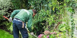 ESTAMOS CONTRATANDO JARDINERO CON DISPONIBILIDAD PARA INCORPORACIÓN INMEDIATA jardinero gardener