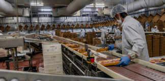 SE NECESITA OPERARIO PARA FABRICA, TAREAS GENERALES. INCORPORACIÓN INMEDIATA, JORNADA COMPLETA operarias de produccion employees