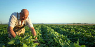 SE BUSCA EMPLEADO PARA GRANJA FAMILIAR, MANTENIMIENTO Y TAREAS GENERALES JORNADA COMPLETA agronomo agricultorntrabajador senior campo soja control cultivos empleado para granja
