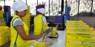 SE SOLICITA OPERARIAS/OS DE PRODUCCIÓN PARA FABRICA DE ALIMENTOS, JORNADA COMPLETA armadores de pedidos operarios de alimentos operators female and male warehouse operators production operators fabrica de alimentos