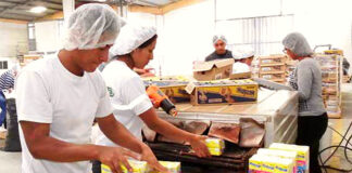 SE REQUIERE PERSONAL CON O SIN EXPERIENCIA PARA EMPRESAS ALIMENTICIAS (HOMBRES Y MUJERES), TAREAS DE EMPACADO Y ETIQUETADO empacadores-para-industria-alimenticia-Balers-for-the-food-industry