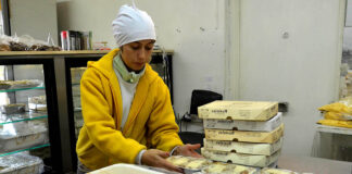 SE BUSCA SEÑORA/SEÑORITA PARA FABRICA DE PASTAS, JORNADA MEDIO TIEMPO (ATENCIÓN AL PUBLICO) empleada de atencion al publico para fabrica de pastas employee of attention to the public for pasta factory