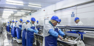 SE REQUIERE PERSONAL PARA INDUSTRIA DE PRODUCCIÓN ALIMENTICIA, VARIOS PUESTOS JORNADA FULL TIME Y PART TIME empleados de empaque