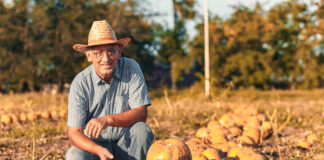 SE SOLICITA PEÓN AGRÍCOLA PARA RECOLECCIÓN DE CALABAZAS Y TAREAS GENERALES DE CAMPO, INCORPORACIÓN INMEDIATA