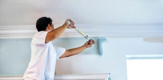 SE BUSCAN PINTORES CON DISPONIBILIDAD INMEDIATA, TRABAJOS DE PINTURA EN INTERIORES Y EXTERIORES pintor painter job