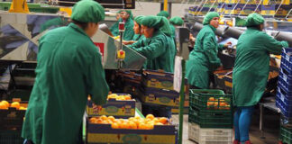 SE SOLICITA OPERARIO/A PARA PLANTA DE PRODUCCIÓN, EN IMPORTANTE EMPRESA AGROINDUSTRIAL. HORARIOS ROTATIVOS Operario Para Planta de Producción Empresa Agroindustrial Operator For Production Plant Agroindustrial Company