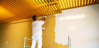 SE BUSCA PINTOR DE CASAS CON DISPONIBILIDAD INMEDIATA, PERSONA RESPONSABLE Y TRABAJADORA Pintor de casas painter job house painter