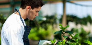 SOLICITAMOS PEONES DE JARDINERÍA PARA TAREAS GENERALES, TIEMPO COMPLETO. SE OFRECE TRABAJO ESTABLE