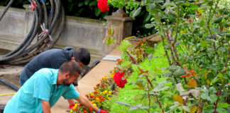 SE SOLICITAN JARDINEROS PARA IMPORTANTE EMPRESA DE PLANTAS. JORNADA FULL TIME jardinero gardener