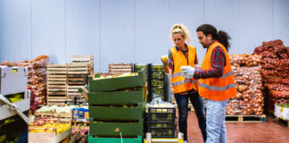 almacen de frutas y verduras personal masculino y femenino fruit and vegetable warehouse male and female staff