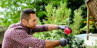 SE REQUIERE AYUDANTE DE JARDINERO 5 DÍAS A LA SEMANA, 8 HORAS DIARIAS DE LUNES A VIERNES ayudante de jardinero gardener helper