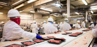 SE SOLICITA EMPACADOR PARA EMPRESA DE PRODUCTOS CÁRNICOS, JORNADA COMPLETA empacadores de alimentos food packers