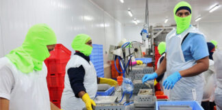 SE SOLICITAN TRABAJADORES PARA EMPAQUE DE MARISCOS (HOMBRES Y MUJERES), CON O SIN EXPERIENCIA. PRIMER TURNO DE LUNES A VIERNES empacadores de mariscos empacadores sin experiencia seafood packers