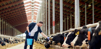 SE REQUIERE EMPLEADO PARA FINCA GANADERA, TAREAS GENERALES. JORNADA COMPLETA empleado vacuno cattle employee