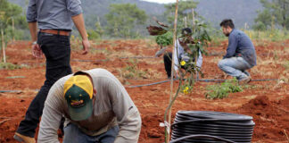 SE REQUIERE PEÓN MONTADOR RIEGOS AGRÍCOLAS (HOMBRE Y/O MUJER) EN DIFERENTES ZONAS, TIEMPO COMPLETO instaladores de riego agricola agricultural irrigation installers